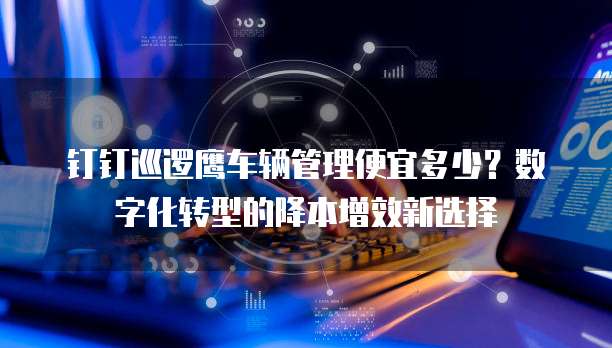钉钉巡逻鹰车辆管理便宜多少?数字化转型的降本增效新选择