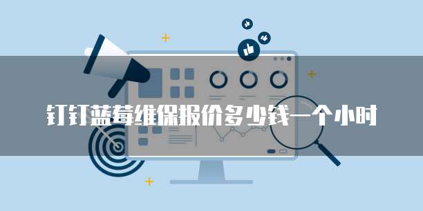 钉钉蓝莓维保报价多少钱一个小时