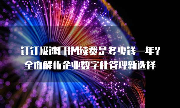 钉钉极速CRM续费是多少钱一年?全面解析企业数字化管理新选择