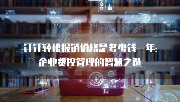 钉钉轻松报销价格是多少钱一年:企业费控管理的智慧之选