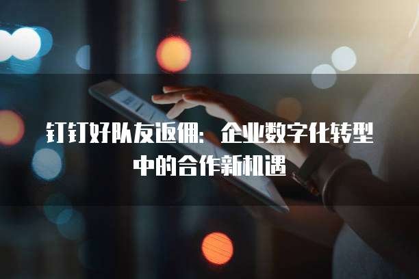 钉钉好队友返佣:企业数字化转型中的合作新机遇