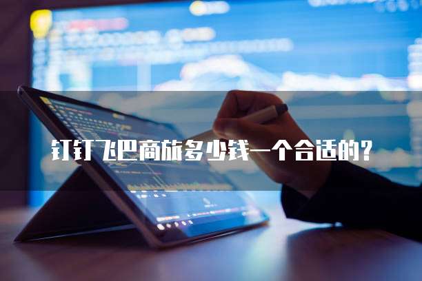 钉钉飞巴商旅多少钱一个合适的？