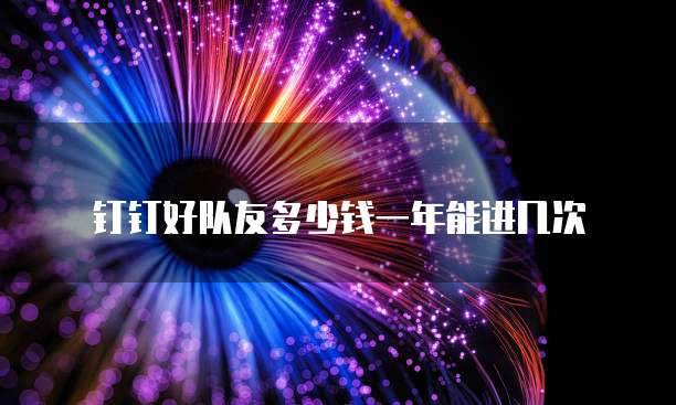 钉钉好队友多少钱一年能进几次