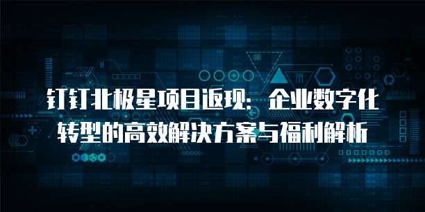 钉钉北极星项目返现:企业数字化转型的高效解决方案与福利解析