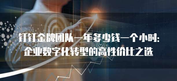 钉钉金牌团队一年多少钱一个小时:企业数字化转型的高性价比之选