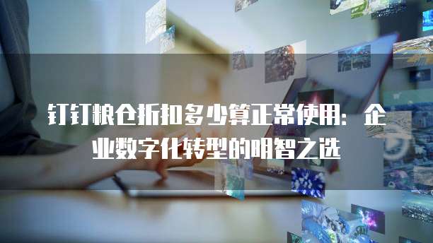 钉钉粮仓折扣多少算正常使用：企业数字化转型的明智之选
