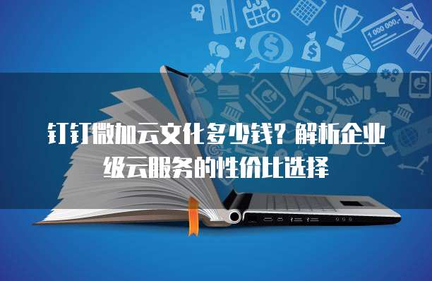 钉钉微加云文化多少钱？解析企业级云服务的性价比选择
