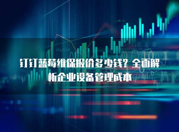 钉钉蓝莓维保报价多少钱?全面解析企业设备管理成本