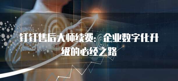 钉钉售后大师续费：企业数字化升级的必经之路
