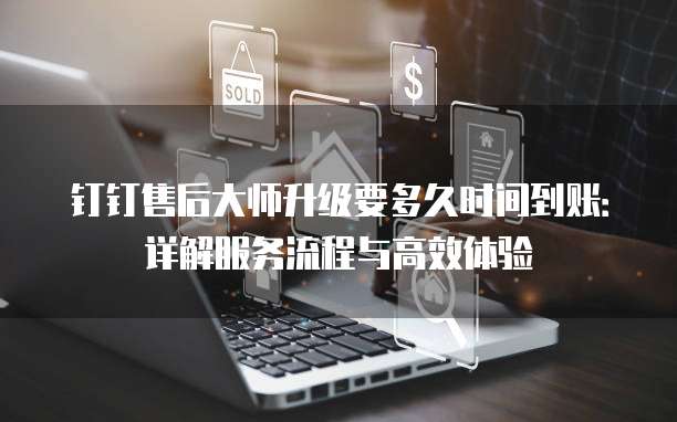 钉钉售后大师升级要多久时间到账:详解服务流程与高效体验