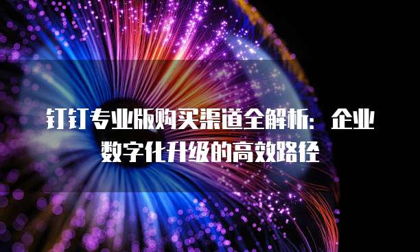 钉钉专业版购买渠道全解析：企业数字化升级的高效路径