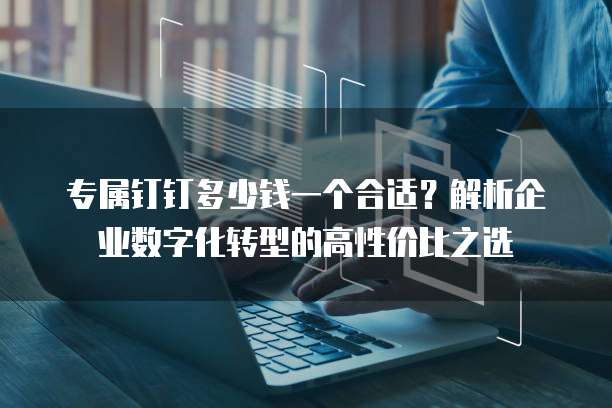 专属钉钉多少钱一个合适?解析企业数字化转型的高性价比之选