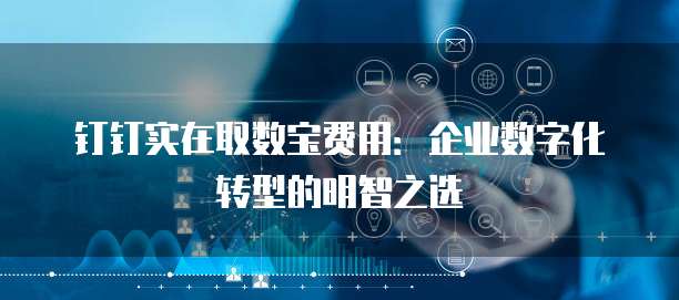 钉钉实在取数宝费用：企业数字化转型的明智之选