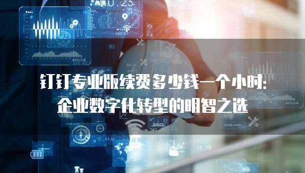 钉钉专业版续费多少钱一个小时:企业数字化转型的明智之选
