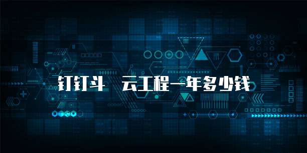 钉钉斗栱云工程一年多少钱