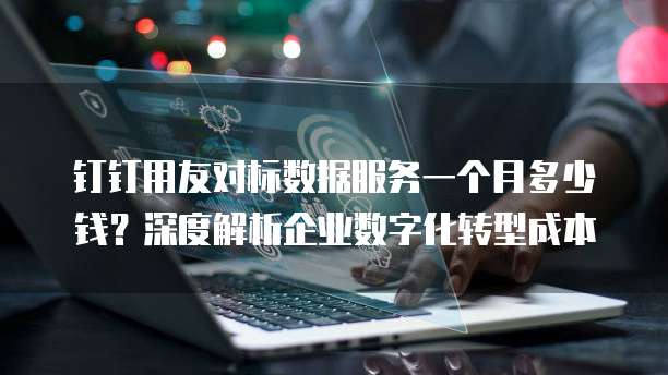 钉钉用友对标数据服务一个月多少钱?深度解析企业数字化转型成本