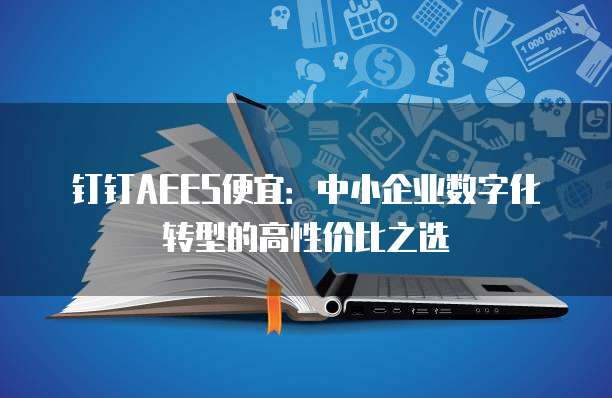 钉钉AEES便宜：中小企业数字化转型的高性价比之选