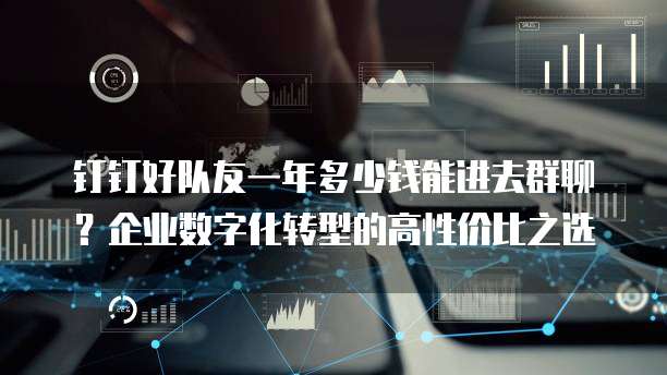 钉钉好队友一年多少钱能进去群聊？企业数字化转型的高性价比之选