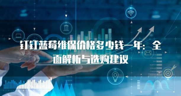 钉钉蓝莓维保价格多少钱一年：全面解析与选购建议