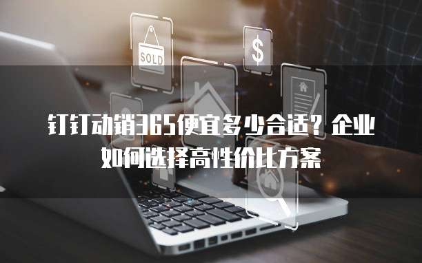 钉钉动销365便宜多少合适?企业如何选择高性价比方案