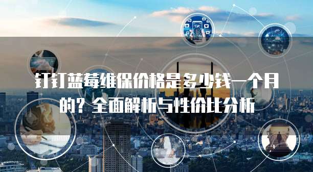 钉钉蓝莓维保价格是多少钱一个月的?全面解析与性价比分析