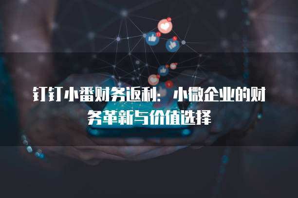 钉钉小番财务返利：小微企业的财务革新与价值选择