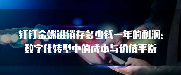 钉钉金蝶进销存多少钱一年的利润：数字化转型中的成本与价值平衡