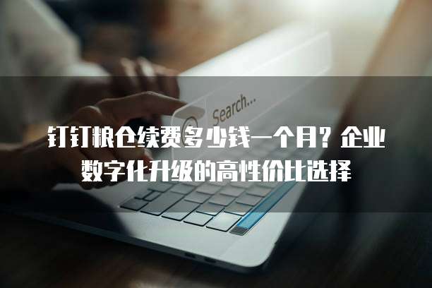 钉钉粮仓续费多少钱一个月?企业数字化升级的高性价比选择