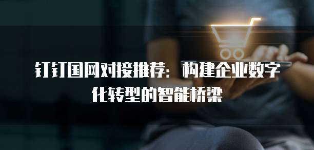 钉钉国网对接推荐：构建企业数字化转型的智能桥梁