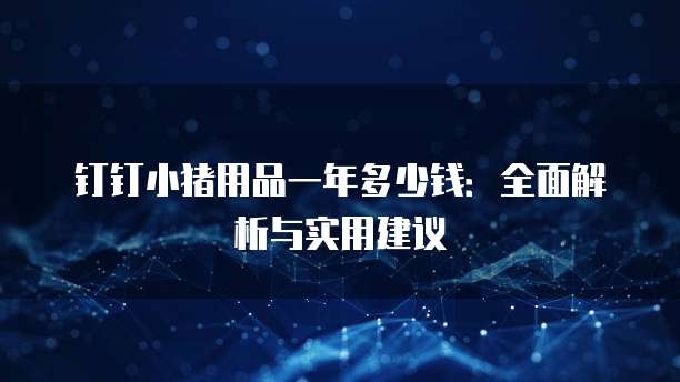 钉钉小猪用品一年多少钱:全面解析与实用建议