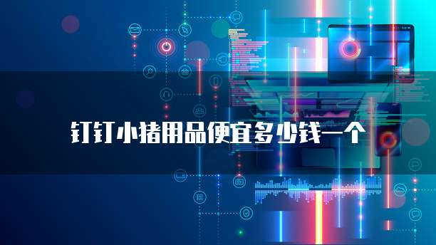 钉钉小猪用品便宜多少钱一个