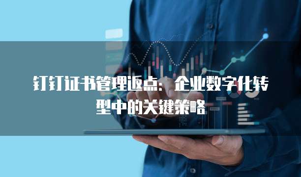 钉钉证书管理返点:企业数字化转型中的关键策略
