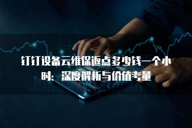 钉钉设备云维保返点多少钱一个小时:深度解析与价值考量