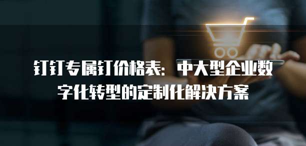 钉钉专属钉价格表：中大型企业数字化转型的定制化解决方案