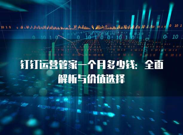 钉钉运营管家一个月多少钱：全面解析与价值选择