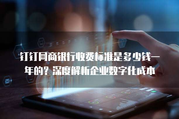 钉钉网商银行收费标准是多少钱一年的？深度解析企业数字化成本