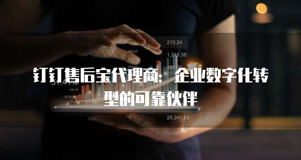 钉钉售后宝代理商：企业数字化转型的可靠伙伴