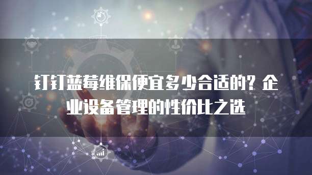 钉钉蓝莓维保便宜多少合适的?企业设备管理的性价比之选