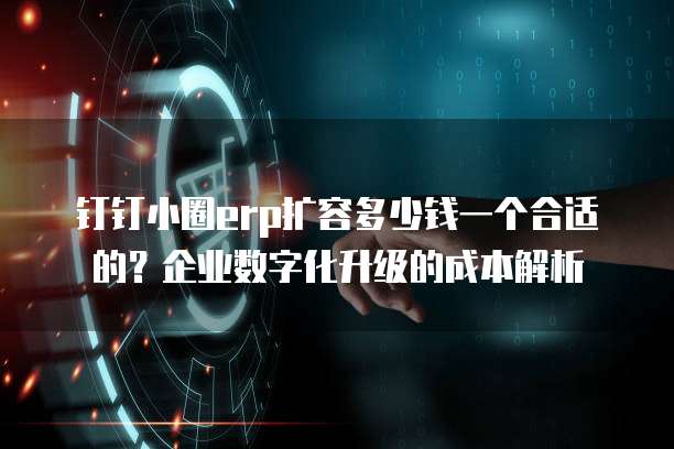 钉钉小圈erp扩容多少钱一个合适的?企业数字化升级的成本解析
