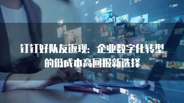 钉钉好队友返现:企业数字化转型的低成本高回报新选择