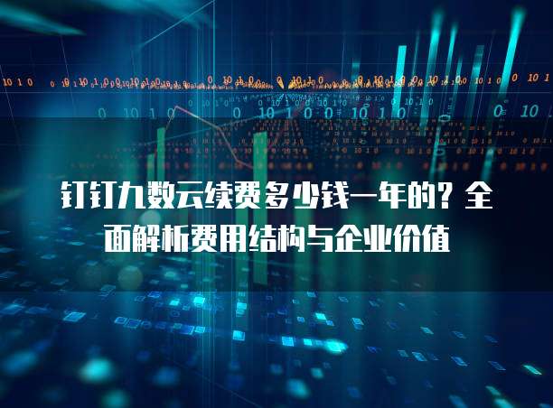 钉钉九数云续费多少钱一年的？全面解析费用结构与企业价值