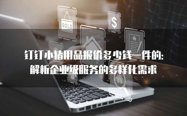 钉钉小猪用品报价多少钱一件的:解析企业级服务的多样化需求
