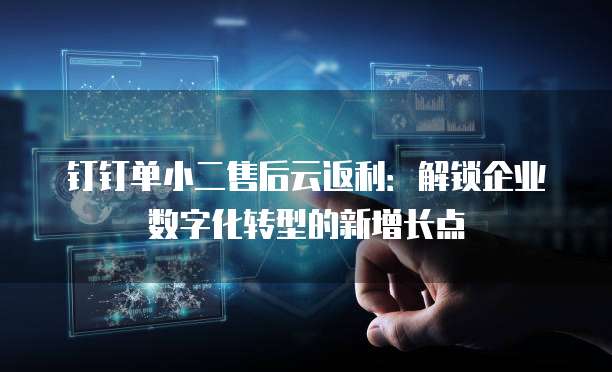 钉钉单小二售后云返利:解锁企业数字化转型的新增长点