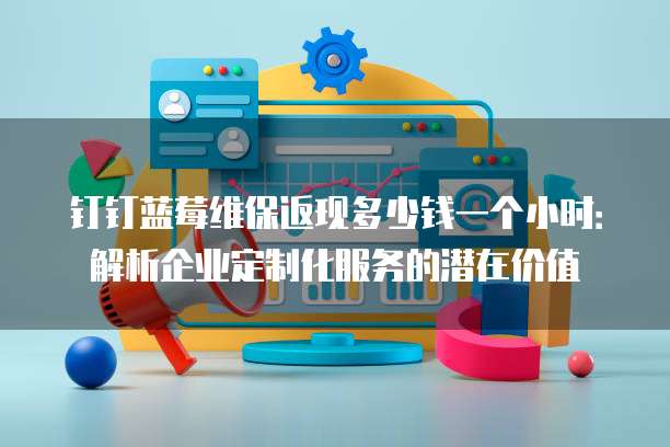 钉钉蓝莓维保返现多少钱一个小时:解析企业定制化服务的潜在价值