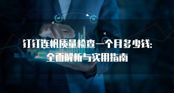 钉钉连帆质量检查一个月多少钱:全面解析与实用指南