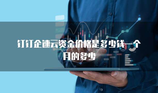 钉钉企速云资金价格是多少钱一个月的多少