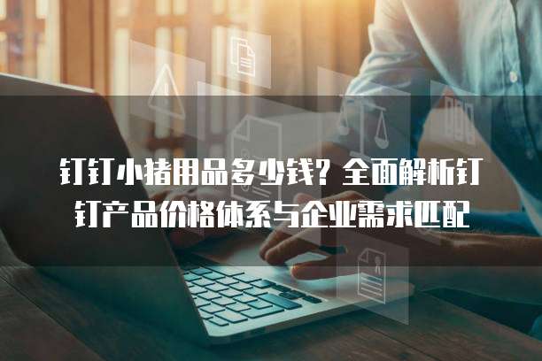 钉钉小猪用品多少钱?全面解析钉钉产品价格体系与企业需求匹配