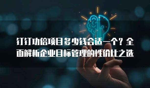 钉钉功倍项目多少钱合适一个?全面解析企业目标管理的性价比之选