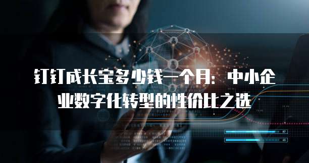 钉钉成长宝多少钱一个月:中小企业数字化转型的性价比之选