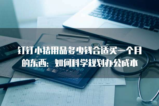 钉钉小猪用品多少钱合适买一个月的东西：如何科学规划办公成本